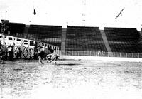 [Carl Dykes falling from Brahma steer near chutes]