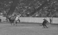 Alan Jones Calf roping