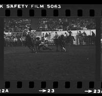 Paul Luchsinger Steer wrestling