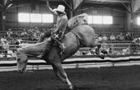 Jimmy Spencer on Sun Downer
