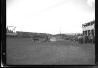 Pud Adair Calf Roping