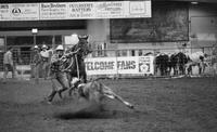 Terry McCutcheon Calf roping