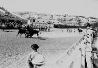 Howard McCroey Bulldogging Billings, Mont.