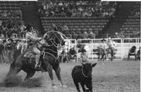 Ralph McKinley Calf roping