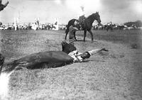 Jack Wells Bulldogging, Cheyenne Frontier Days