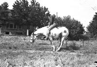 [Possibly Earl Strauss mounted on horse posing as "The End of the Trail"]
