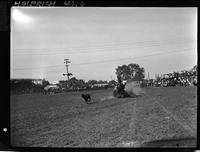 Bill Linderman Calf Roping