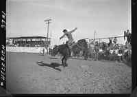 Virgil Hixon on Tulare Rodeo