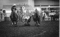 Jeff Green Steer wrestling