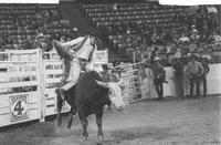 Terry Wesschedel on Van Horn