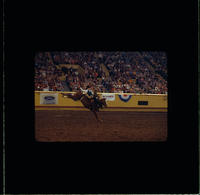 Mickey Young on Smokey