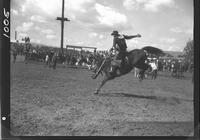 Joe Harry on Black Hawk