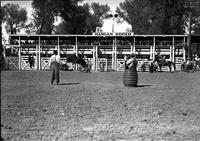 [Rodeo clowns look on as cowboy lands from steer]