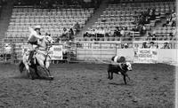 Kelly Corbin Calf roping