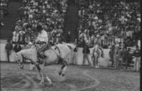 Dave Appleton on Gold Nugget