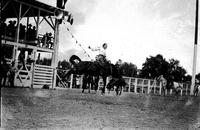 [Possibly Gene Creed riding bronc]