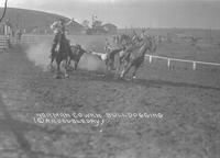 Norman Cowan Bulldogging