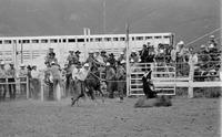 Mike Beers Calf roping