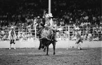 Cody Custer on Bull #03