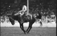 Unidentified rider on unknown Bronc