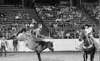 John Lowe on Blue Chip