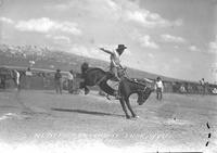 R. L. Nelson on "LaBonte" Lusk, Wyo.