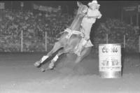 Dianne Fitzgearld Barrel racing