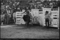 Bart Wilkinson on Tombstone