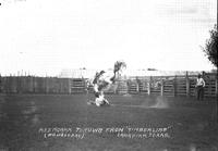 Red Roark Thrown from "Timberline" Canadian, Texas