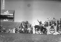 [Unidentified Cowboy riding and staying with his mount as he heads toward the chutes]