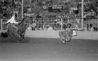 Mark Nugent Claf roping