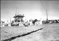 [Unidentified Cowboy leaving bronc at the Casper Rodeo]