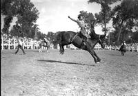 [Possibly Pete Forester with "Pete" on chaps riding bronc]