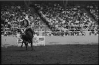 Don Gay on Bull #21