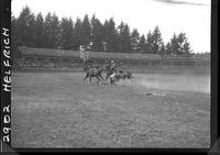 John Scott Steer Wrestle