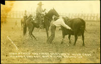 Hugh Strickland & Mike Hastings, Wild Cow Milking Contest, Bozeman Round-Up