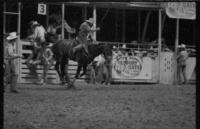 Bob Blackwood on Stetson