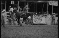 Bob Blackwood on Stetson