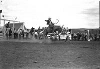 [Unidentified Cowboy in jacket riding bronc which appears to be launching itself]