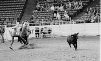 Russ Weaver Calf roping
