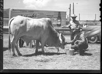Devere & Rooker Bull - Posed - Butte - By helen