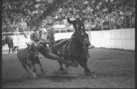 Dusty Rogers Steer wrestling