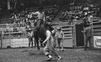 Lonnie Wyatt on Bull #114