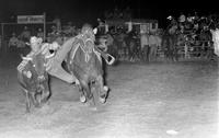 Jimmie Cooper Steer wrestling