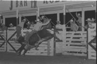 Jim Payne on Bull #B12