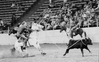 Brad McReynolds Calf roping