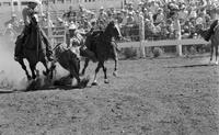 Byron Walker Steer wrestling