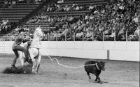 Dan McGee Calf roping