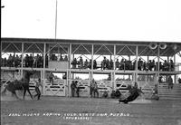 Earl Moore Roping, Colo. State Fair, Pueblo