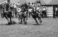 L.C. Smith Steer wrestling